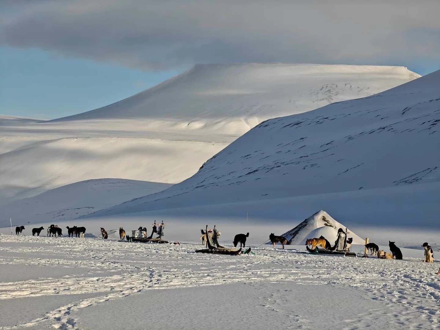 Svalbard: At the Edge of the World thumbnail 5