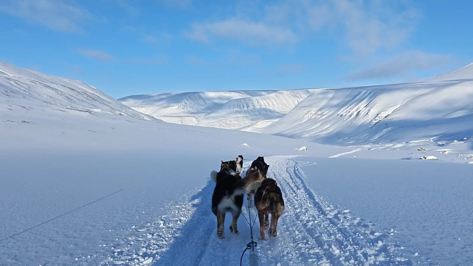 Svalbard: At the Edge of the World thumbnail 4